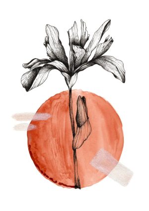 Ilustração da flor iris em aquarela e nankin