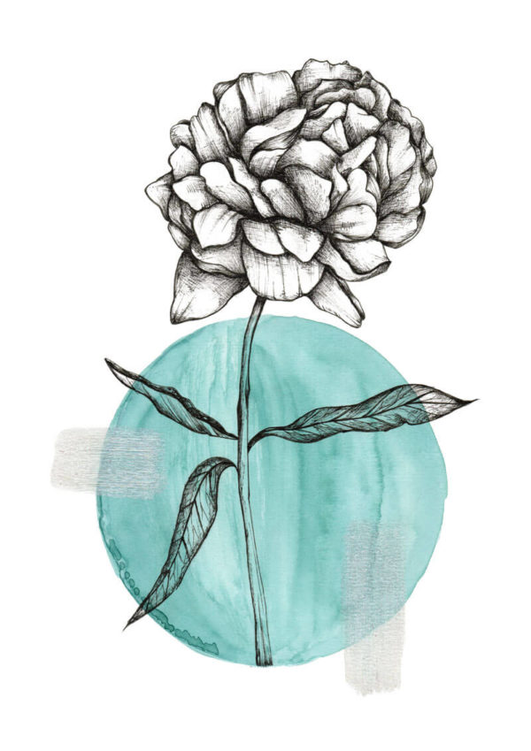 Ilustração da flor peonia em aquarela e nankin
