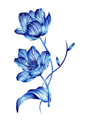 Pintura flor azul aquarela
