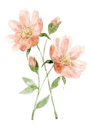 Pintura floral em aquarela Florescer 2
