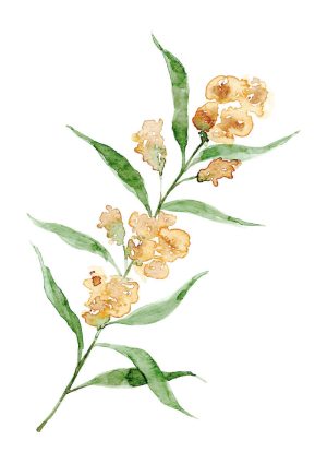 Pintura floral em aquarela Florescer 3